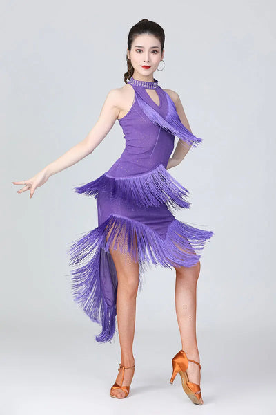Lady Performance Dress Women Latin Dance Clothes Latin Dress Girls Tassel Latin Dance Dresses Dancer Clothing