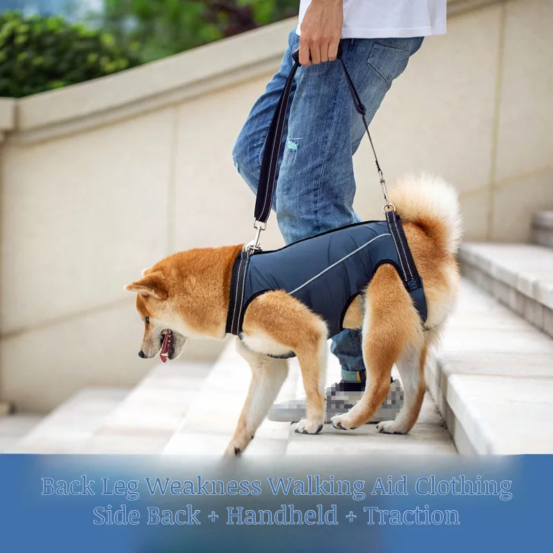 Pet Care Carrier Senior Elderly Dog Back Leg Barrier Walking Aid Disabled Pet Care Carrier