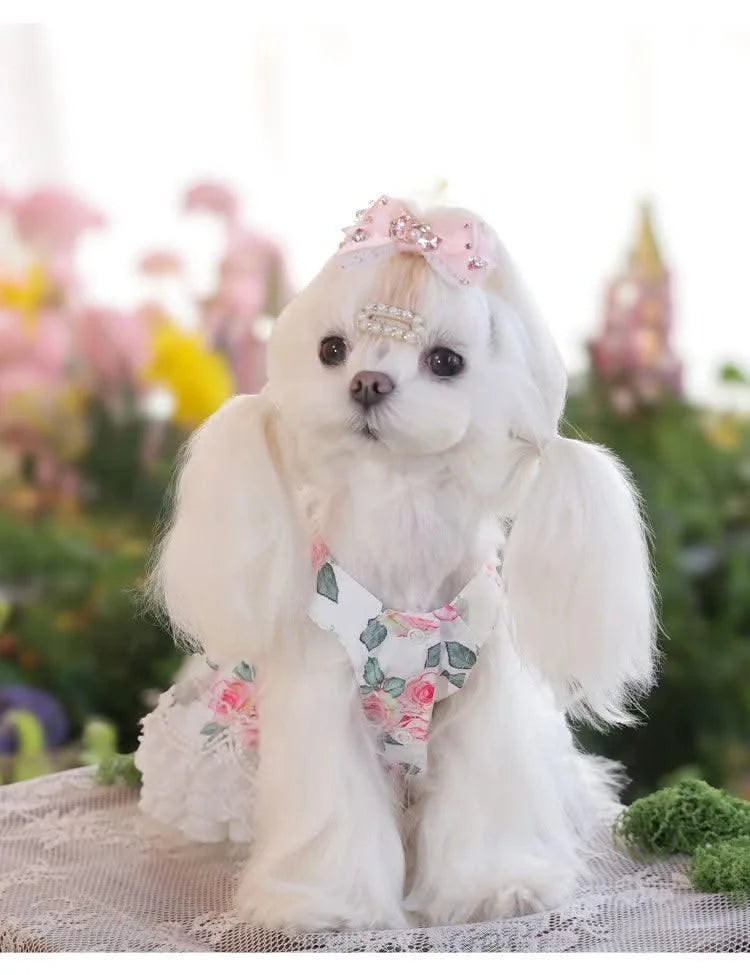 Pet Clothes Dog Skirts Floral Cute Spring And Summer Jumpsuit Small Dog Teddy Bear Clothes Pet Series Essential Clothes For Pet
