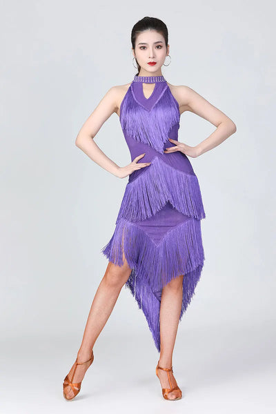 Lady Performance Dress Women Latin Dance Clothes Latin Dress Girls Tassel Latin Dance Dresses Dancer Clothing