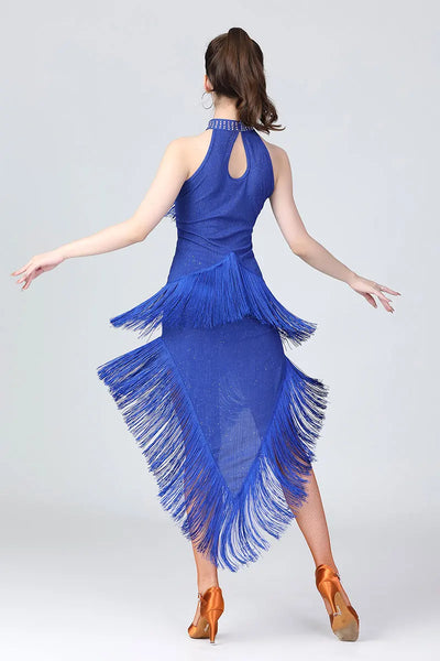 Lady Performance Dress Women Latin Dance Clothes Latin Dress Girls Tassel Latin Dance Dresses Dancer Clothing