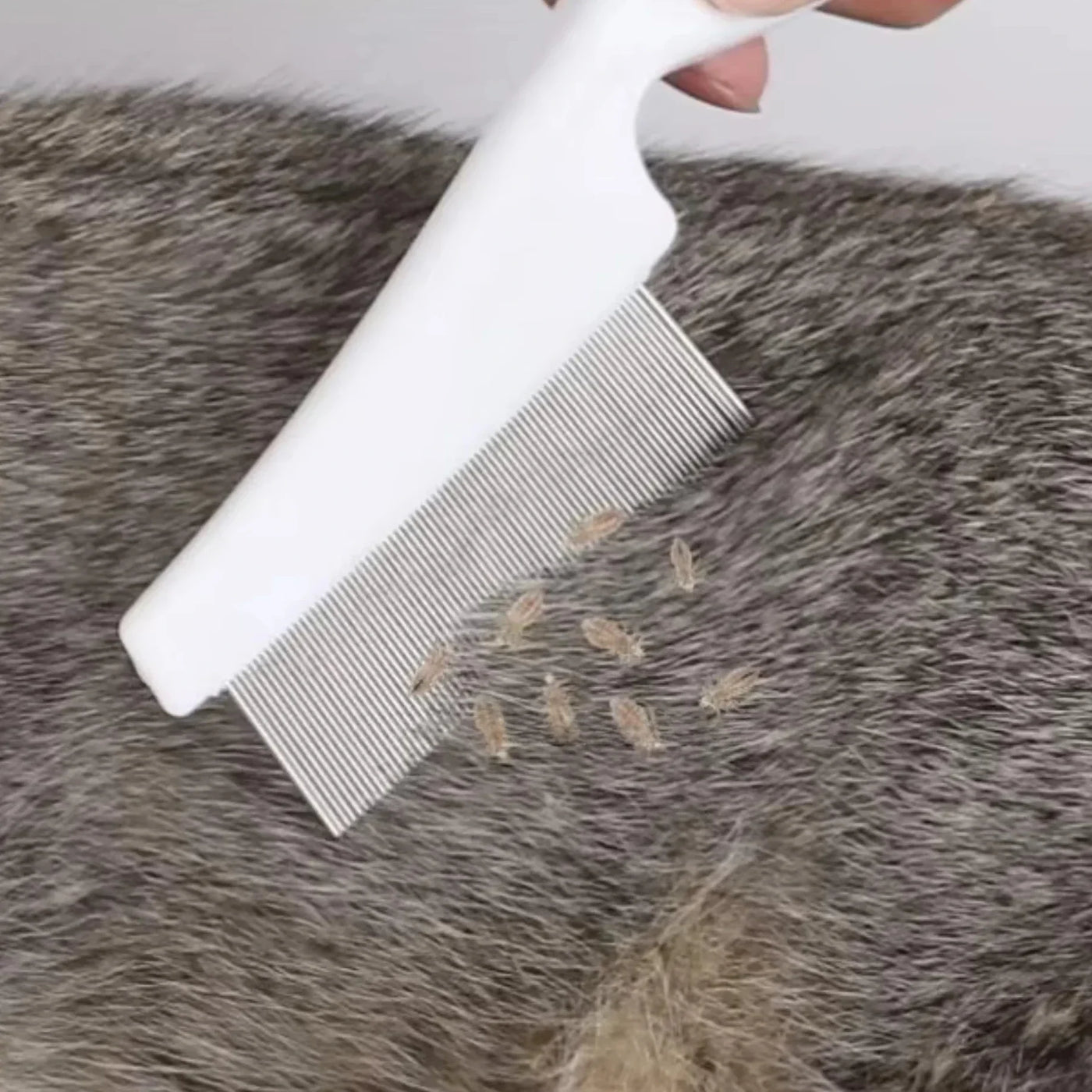 Pet Hair Shedding Comb Stainless Steel Flea Comb for Cat Dog Pet Comfort Flea Hair Grooming Comb Dog Brush Grooming Tools