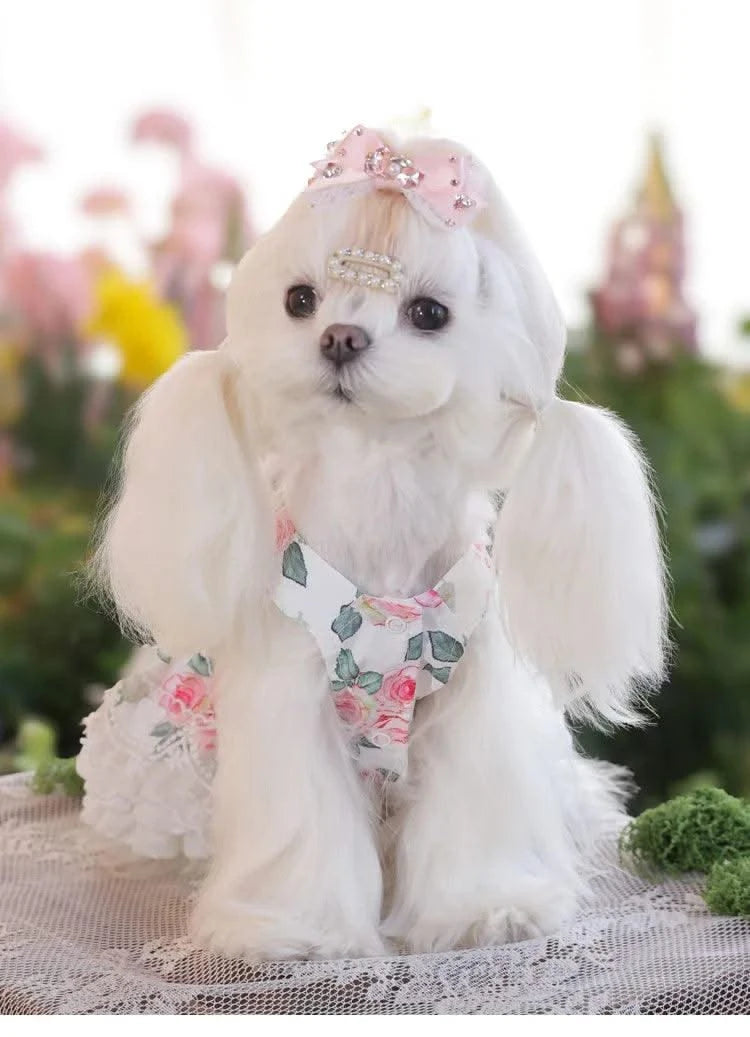 Pet Clothes Dog Skirts Floral Cute Spring And Summer Jumpsuit Small Dog Teddy Bear Clothes Pet Series Essential Clothes For Pet
