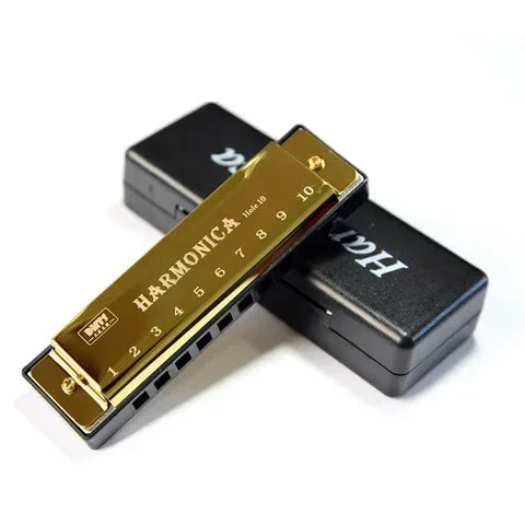Harmonica Key of C 10 Hole Diatonic Harmonica C with Case for Beginner Students Kids Gift with Case