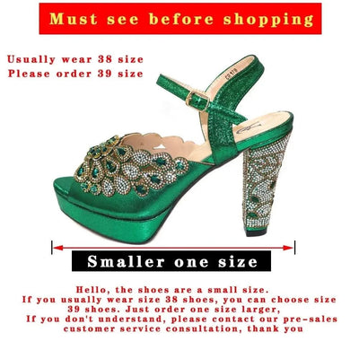 Embroidery Italian Design Pointed-Toe High-heeled Shoes and Bags Set for Women
