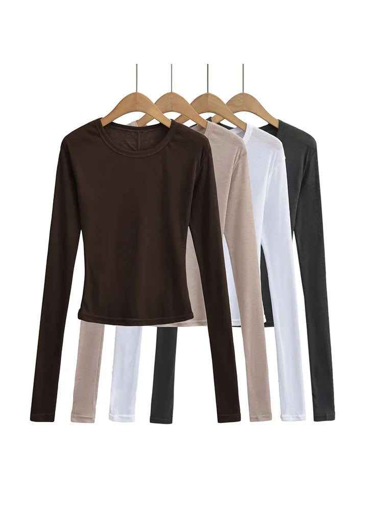 Women's Crew Neck Fitted Long Sleeve Semi Sheer T-shirt for Casual Wear