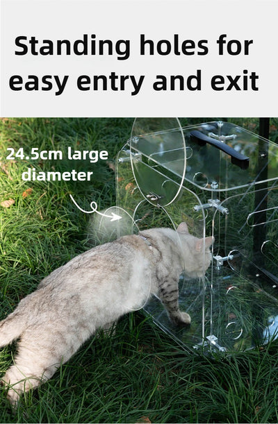 Portable Pet Outdoor Use Transparent Cat Bags Travel Box Large Space Breathable Mobile Easy Interaction Pet Carrying Supplies