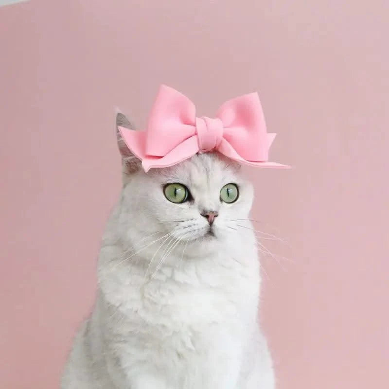 Cat Accessories Party Cat Headdress Wear Puppy Hairband Dog Dress Up Hat Pet Hair Accessories Bow Tie Dog Bowknot Pet Hair Hoop