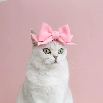 Cat Accessories Party Cat Headdress Wear Puppy Hairband Dog Dress Up Hat Pet Hair Accessories Bow Tie Dog Bowknot Pet Hair Hoop