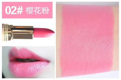 Pink Matte Lipstick Waterproof 24 hours Long Lasting Red Lipsticks Resistant Rose Lip Tint Velvet Lipstic Cosmetic Women Makeup