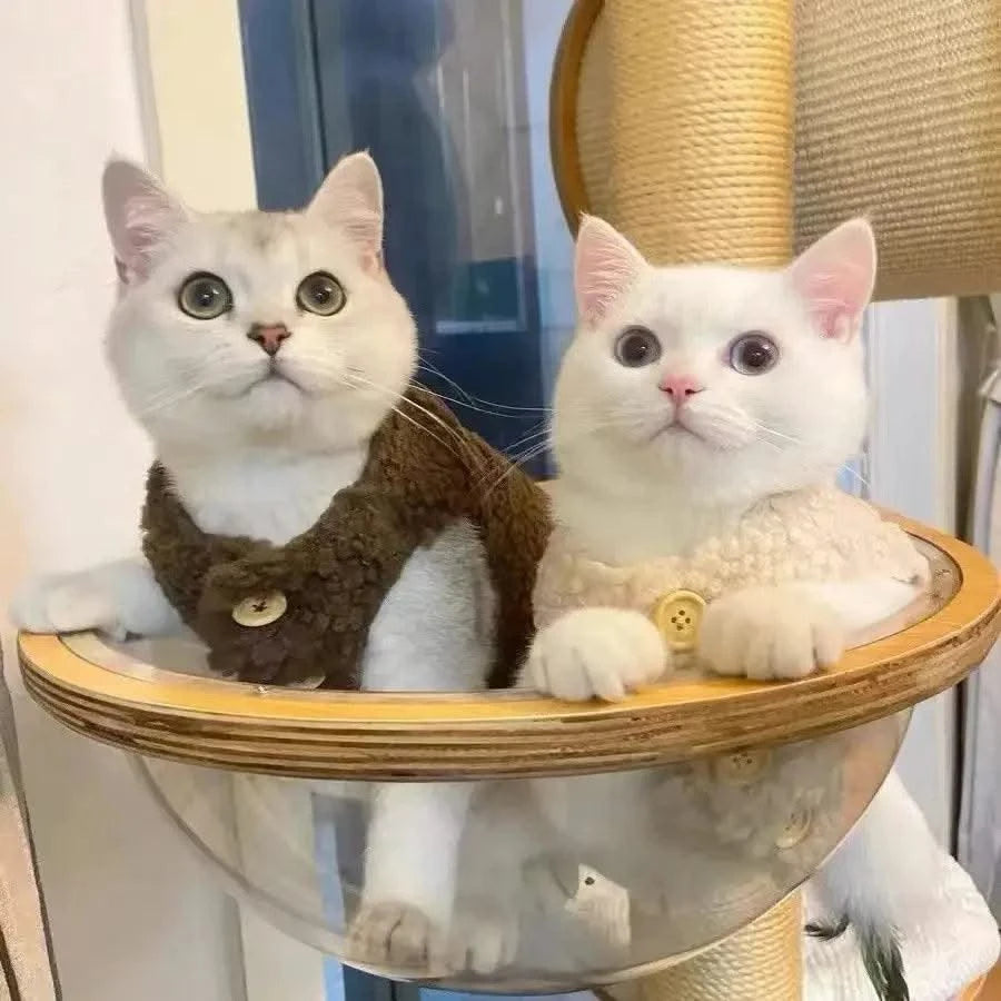 Cat Clothes Warm Lambhair Vest Soft Cozy Winter Warm Fleece Sweatshirt Puppy Kitten Jacket Coat Pet Sphynx Costume Sweater