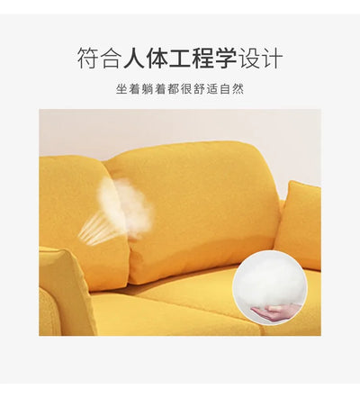Comfortable Elegant Sofa Beds Modern Pink Multifunctional Classic Sofa Beds Double Storage Sofa Camas Living Room Furniture