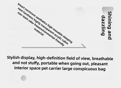 Portable Pet Outdoor Use Transparent Cat Bags Travel Box Large Space Breathable Mobile Easy Interaction Pet Carrying Supplies