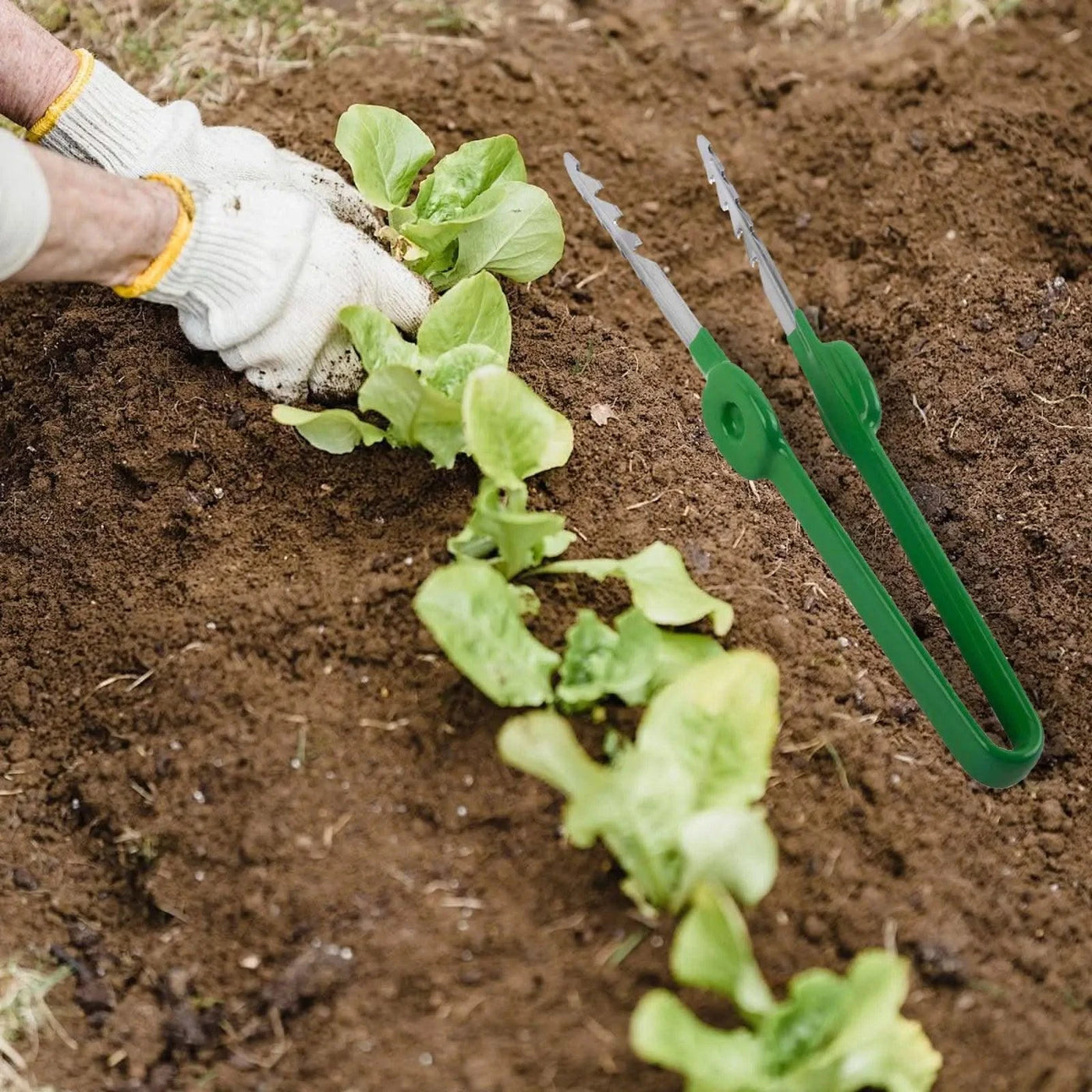 Gardening Tweezers As Shown Horticultural Tweezers Versatile Gardening Equipment Comfortable Grip For Home Gardening
