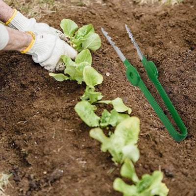 Gardening Tweezers As Shown Horticultural Tweezers Versatile Gardening Equipment Comfortable Grip For Home Gardening