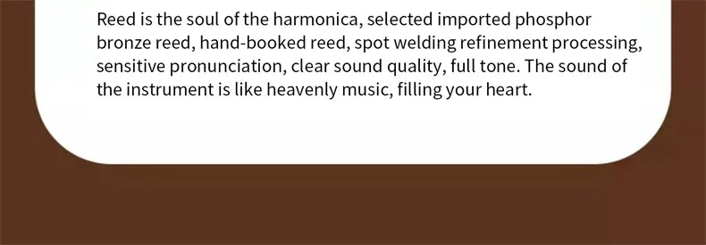 Harmonica 28 holes in key of C  with case for beginners adults professionals students friends gifts