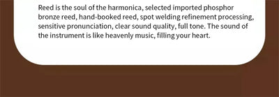 Harmonica 28 holes in key of C  with case for beginners adults professionals students friends gifts