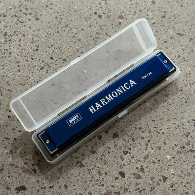 24 Hole Metal Harmonica Children's Early Education Instrument Self-learning Introductory Chromatic Color Double Row Harmonica