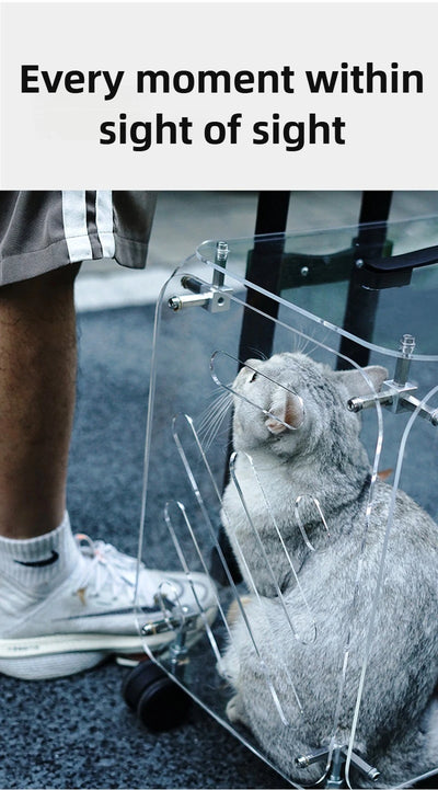 Portable Pet Outdoor Use Transparent Cat Bags Travel Box Large Space Breathable Mobile Easy Interaction Pet Carrying Supplies