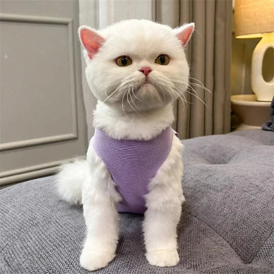 Cat Weaning Sterilization Suit Cats Anti-licking Sterilization Clothes Pet Surgery Recovery Suit Castration Wound Recovery Cloth