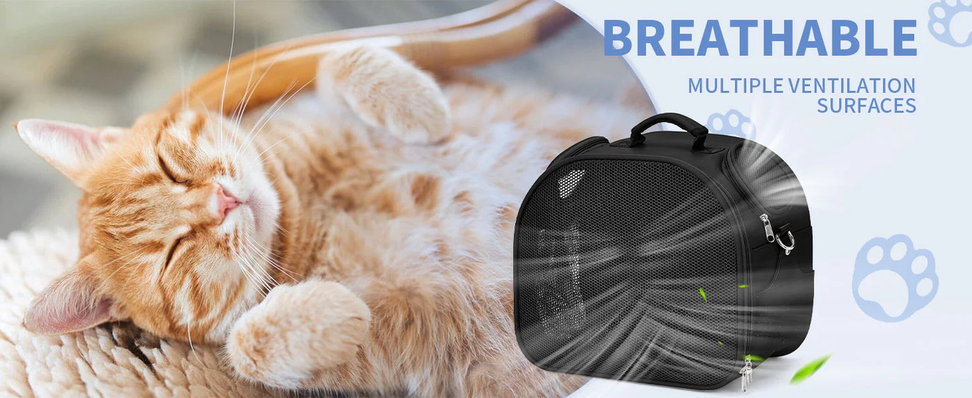 Cat, Dog Carrier Bag for Pets Up to 13 Lbs, Carrier for Medium Small Cats Dogs Airline Approved Travel Carry As Pets Go to Home