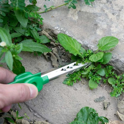 Gardening Tweezers As Shown Horticultural Tweezers Versatile Gardening Equipment Comfortable Grip For Home Gardening