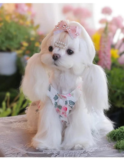 Pet Clothes Dog Skirts Floral Cute Spring And Summer Jumpsuit Small Dog Teddy Bear Clothes Pet Series Essential Clothes For Pet