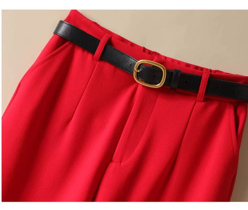 Suit Wide-Leg Pants for Women High Waist Temperament Drooping Wide-Leg Pants 2024 Spring New Loose Casual Trousers Ins
