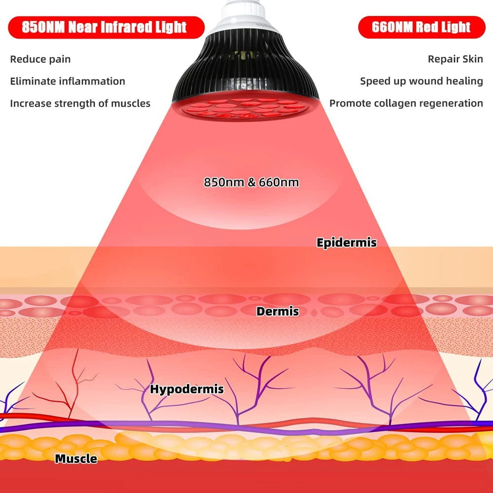 Red Light Therapy Lamp 660nm&850nm Infrared Light Therapy Device for Muscle Joint Pain Relief Skin Health Tools Recovery