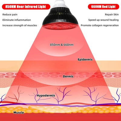 Red Light Therapy Lamp 660nm&850nm Infrared Light Therapy Device for Muscle Joint Pain Relief Skin Health Tools Recovery