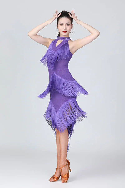 Lady Performance Dress Women Latin Dance Clothes Latin Dress Girls Tassel Latin Dance Dresses Dancer Clothing