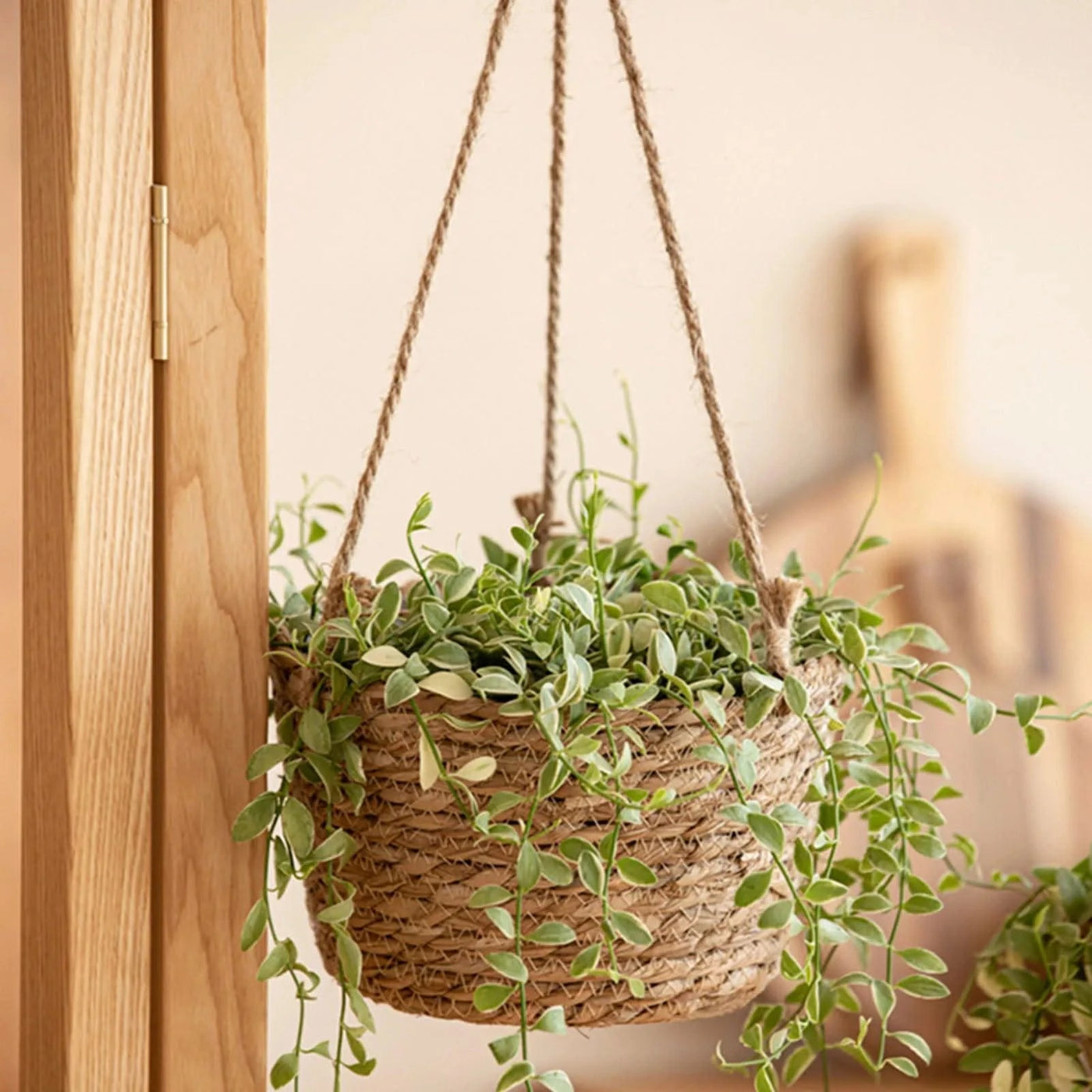 Garden Hanging Planter Hanging Woven Planter Basket Decorative Large Capacity Flower Pot Holder Plant Hangers Home Decoration