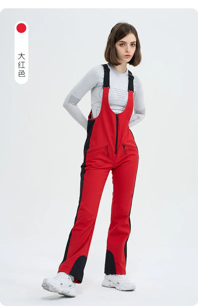 HIGH EXPERIENCE Ski Pants for Women Waterproof Camping Hiking Outdoor Thick Warm Skiing Snowboarding Winter Ski overalls