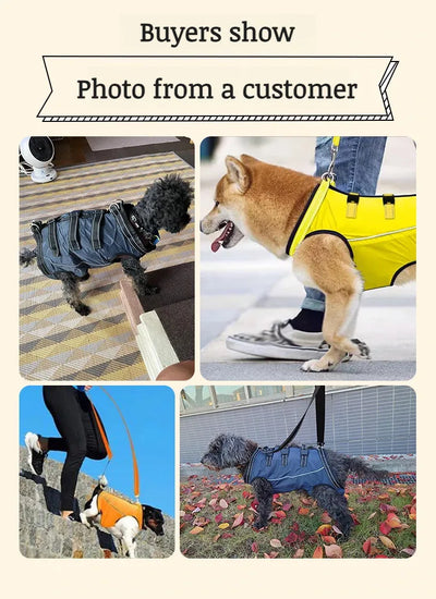 Pet Care Carrier Senior Elderly Dog Back Leg Barrier Walking Aid Disabled Pet Care Carrier