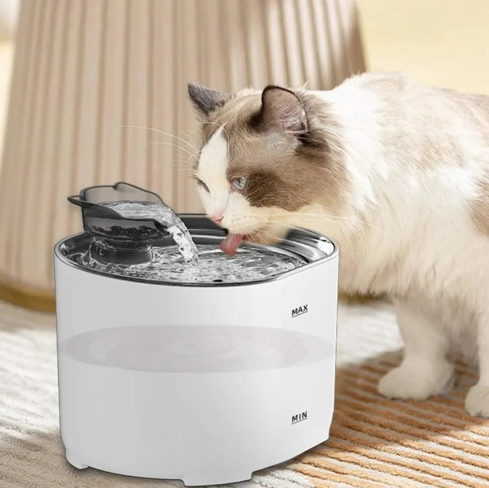 Pet water dispenser intelligent sensor cat water dispenser automatic circulation filtration water drinking  Australia Plug C004