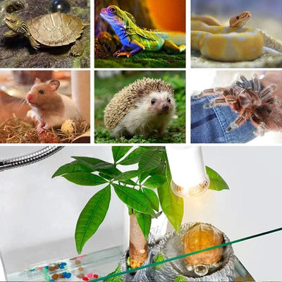 Pet Reptile Lamp 25/50/75W UVA+UVB 3.0 Pet Heat Lamp Bulb, Turtle Light Heating Lamp Amphibians Lizards Temperature Controller