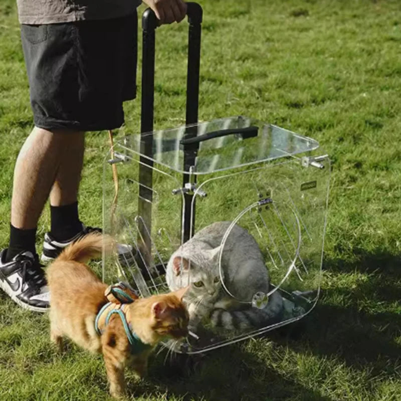 Portable Pet Outdoor Use Transparent Cat Bags Travel Box Large Space Breathable Mobile Easy Interaction Pet Carrying Supplies