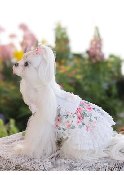 Pet Clothes Dog Skirts Floral Cute Spring And Summer Jumpsuit Small Dog Teddy Bear Clothes Pet Series Essential Clothes For Pet