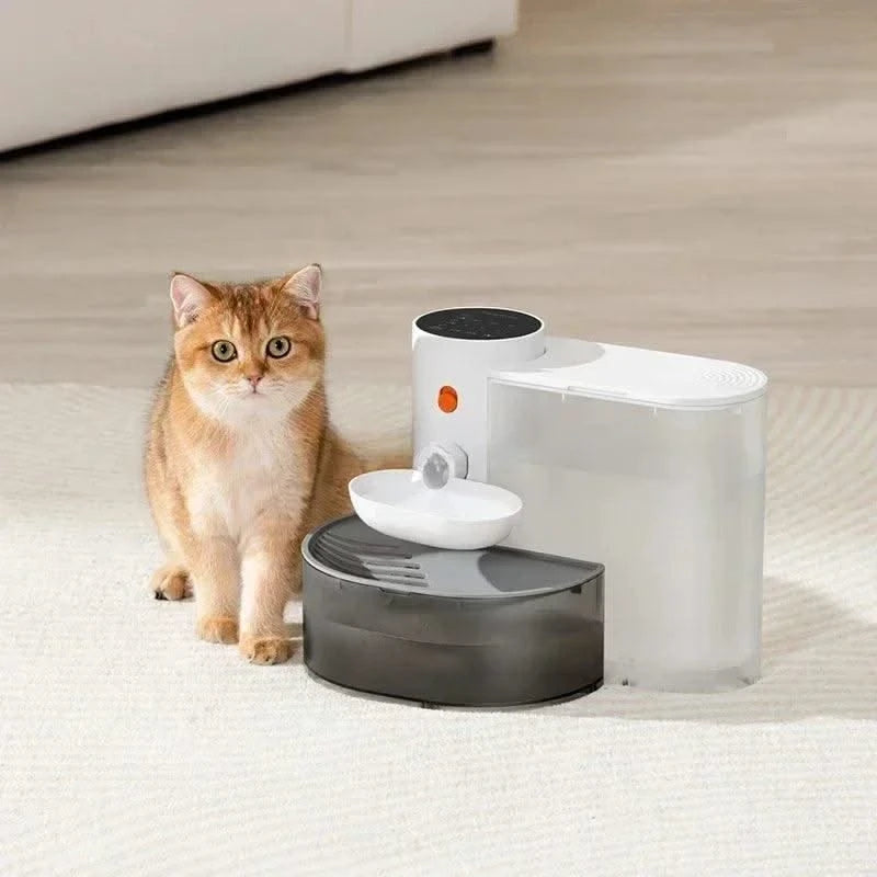 Portable Pet Water Fountain: Automatic Dispenser for Cats & Dogs, No Plug Needed, Keeps Water Fresh & Flowing!