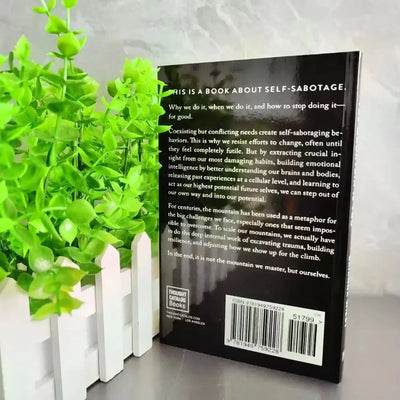 【English Book】 The Mountain Is You: Transforming Self-Sabotage Into Self-Mastery Self-Improvement Book