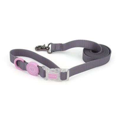 1.5m/2.1m Pet Leashes Cat Small Medium Dogs Leash Walking Guide Rope