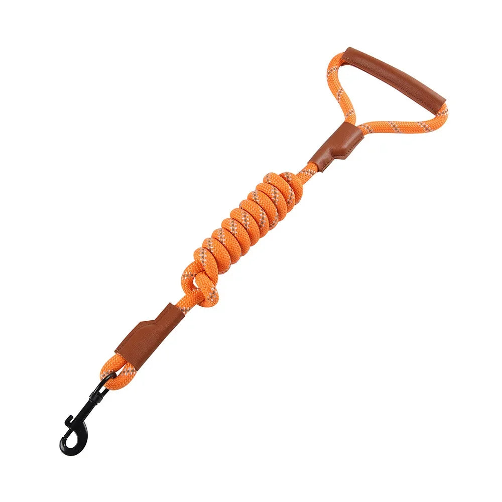 Dog Leash Reflective Lead Dog Pet Leashes Long Lanyard Walking Reflective Traction Rope for Puppy Small Medium Large Dogs