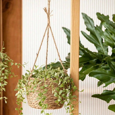 Garden Hanging Planter Hanging Woven Planter Basket Decorative Large Capacity Flower Pot Holder Plant Hangers Home Decoration
