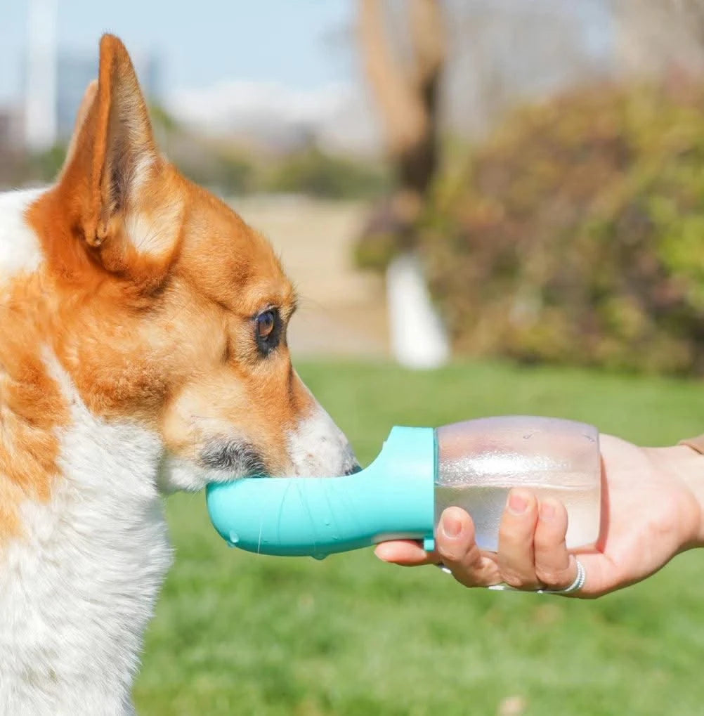 Pet Dog Water Bottle Dispenser For Small Big Dogs Cats Outdoor Travel Walking Puppy Drinking Bowls French Bulldog Pug Feeder