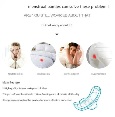 4Pcs Women's Menstrual Panties Physiological Pants Leak Proof Underwear Ladies Period Panty High Waist Cotton Briefs Lingerie