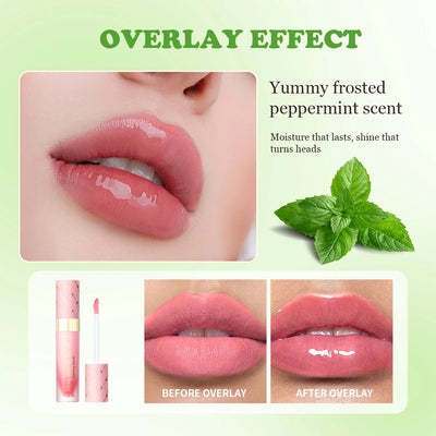 Lip Oil Lipstick Set Long Lasting Hydration Lightweight Texture Natural Lipgloss Lip Deeply Moisturizing Lip Makeup Cosmetics