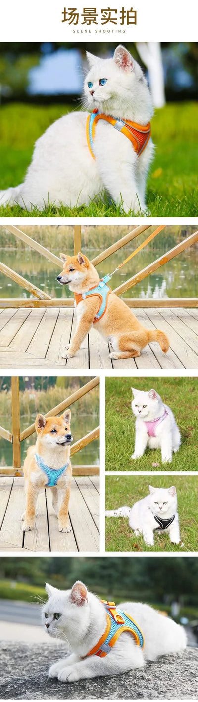 Cat Harness Reflective Pet Harnesses And Leashes Set Adjustable Pet Harness for Cats Small Dogs Pug Chihuahua Cat Accessories