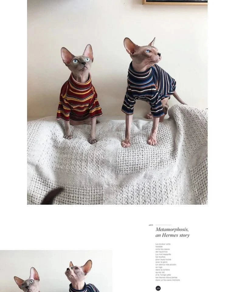 Cat Clothes for Sphinx Hairless Cat Clothes Striped Clothing Warm Knitted Shirt Pet Clothes Cat Supplier XS to XL