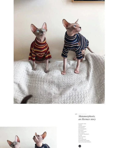 Cat Clothes for Sphinx Hairless Cat Clothes Striped Clothing Warm Knitted Shirt Pet Clothes Cat Supplier XS to XL