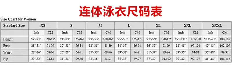 Women's Vintage Mesh Leopard Print Long Sleeve High Waist One-piece Swimsuit Summer Role Play 2025 New Beach Bikini Bodysuit